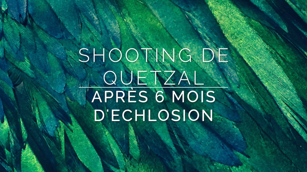 Shooting-photo-fin-quetzal-coaching-image-6-mois-echlosion-chloe-crepin