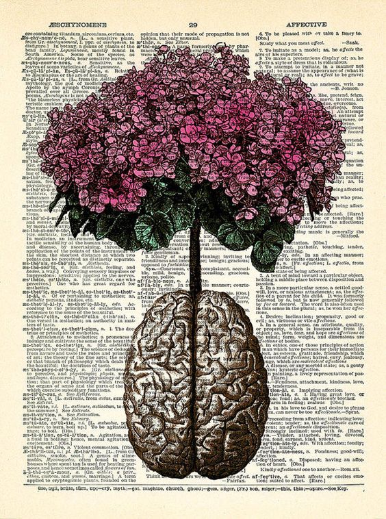 brain-flowers-echlosion-beau-conseil-en-image