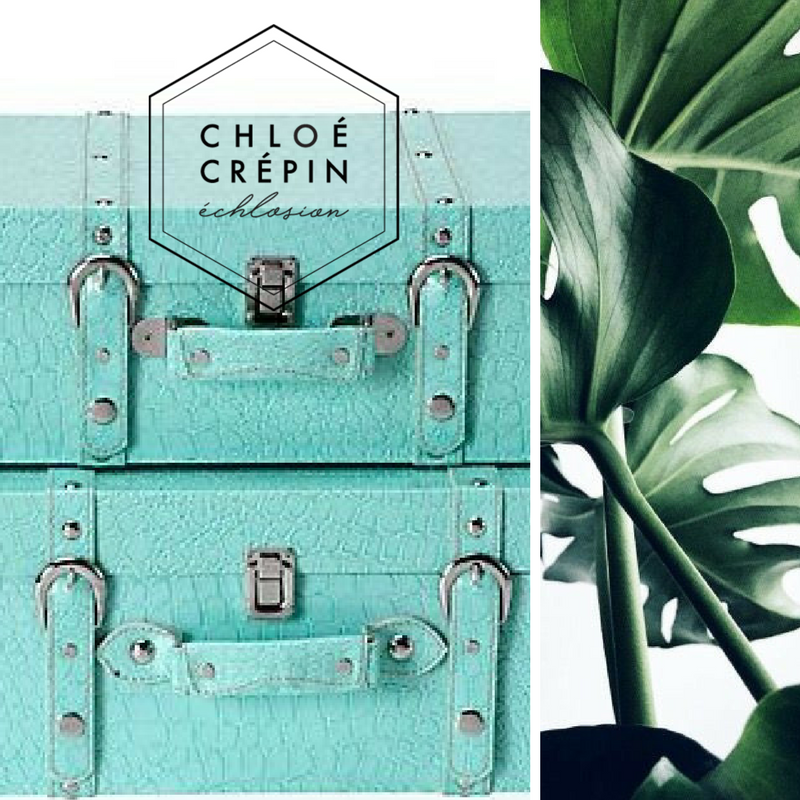 valise-image-ideale-echlosion (1)