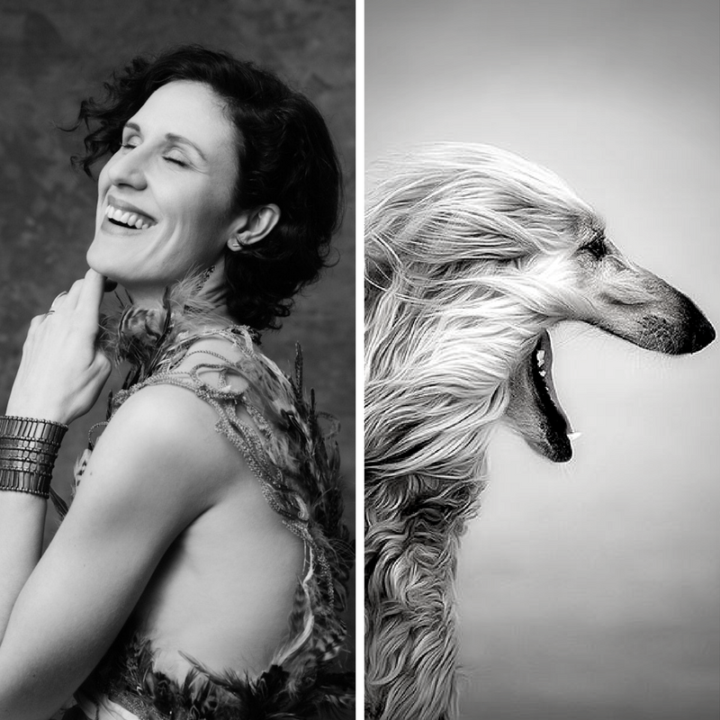 avoir-du-chien-bete-de-mode-vogue-avant-garde-tendance-air-du temps-2