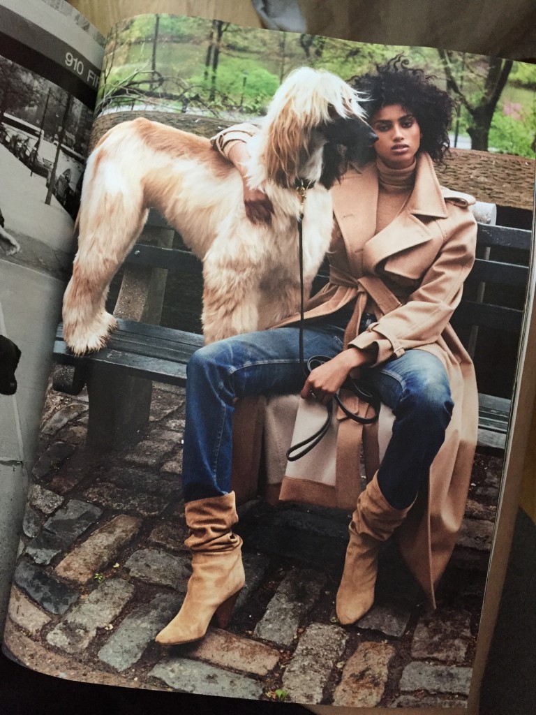 avoir-du-chien-bete-de-mode-vogue-avant-garde-tendance-air-du temps-3