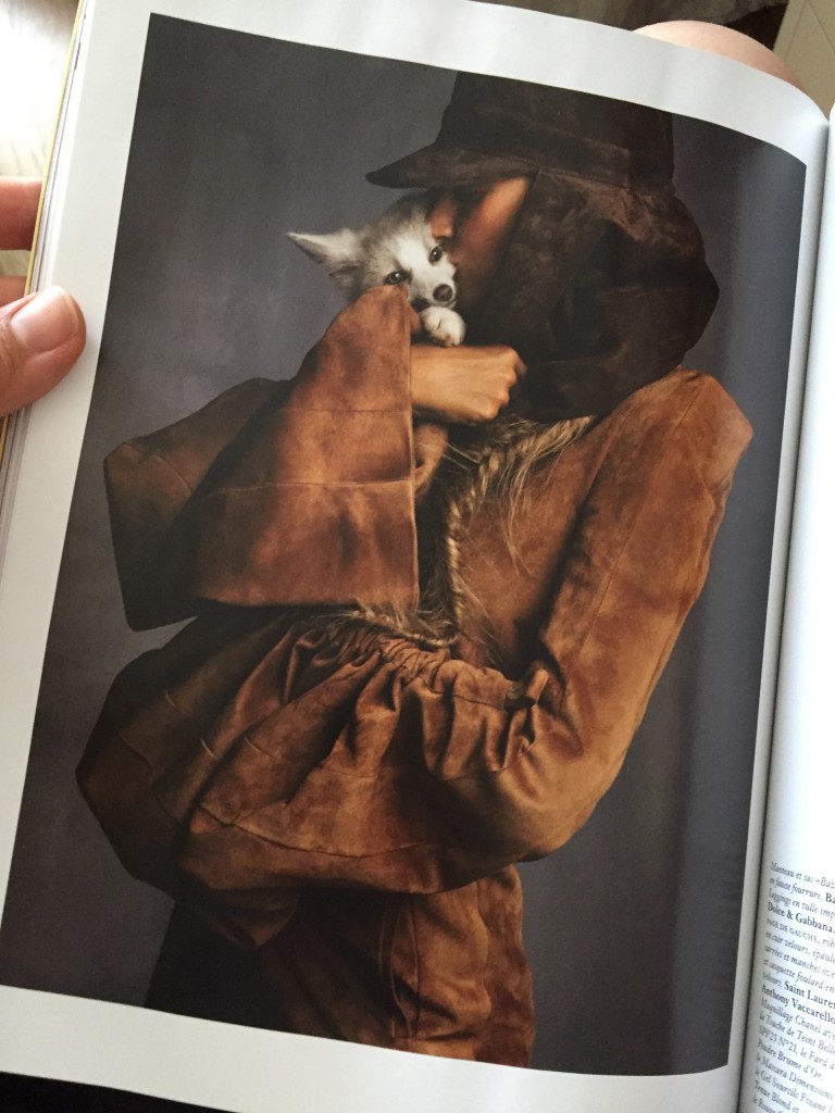 avoir-du-chien-bete-de-mode-vogue-avant-garde-tendance-air-du temps-4