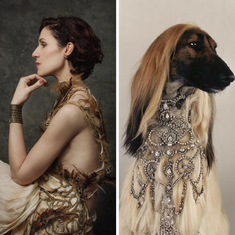 avoir-du-chien-bete-de-mode-vogue-avant-garde-tendance-air-du temps